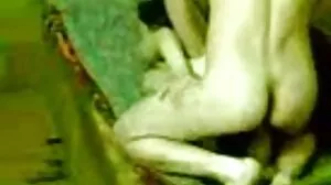 බැංග්‍රොස්: අල්ලපු ගෙදර කොල්ලා