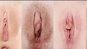 චබී බබෙක් කාර්ලී ඇගේ බූරුවා සමඟ ගනුදෙනුව මිහිරි කරයි