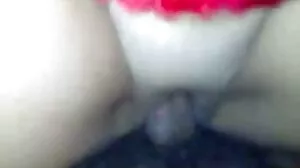 කුඩා දුඹුරු ඇස විශාල පොල්ලකින් විනාශ විය