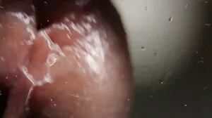 සරාගී සුළු දියණියට ක්‍රීඩාව ලැබී ඇත